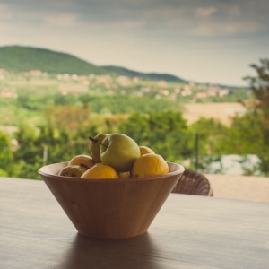 Hip Homes Hungary Countryside Properties in Hungary